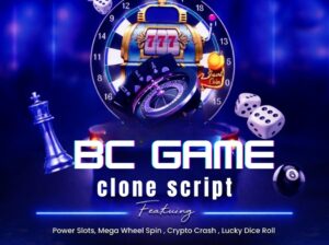 Next-Gen BC.Game Clone Script for High-Profit Crypto Casinos