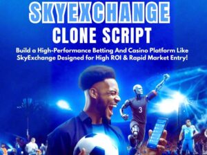 Cost of Developing a SkyExchange Clone Script with Custom Features