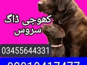 Army dog center 03010417477